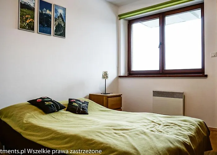 Msc Zaciszny Zakopane