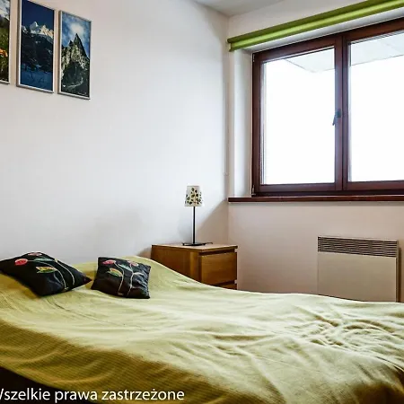 Msc Zaciszny Zakopane